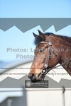 ref. photo 3550443