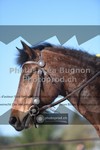 ref. photo 3550444
