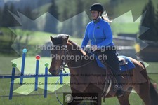 ref. photo 3550446