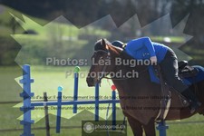 ref. photo 3550448