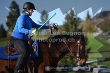 ref. photo 3550458