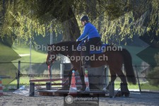 ref. photo 3550459