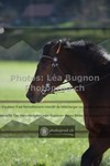 ref. photo 3550460
