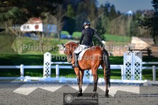 ref. photo 3550471