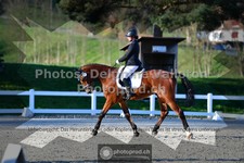 ref. photo 3550474
