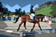ref. photo 3550477