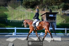 ref. photo 3550481