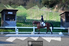ref. photo 3550491