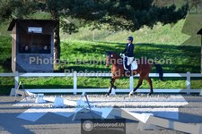 ref. photo 3550492