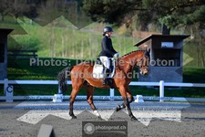 ref. photo 3550493