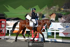 ref. photo 3550496