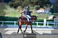 ref. photo 3550499