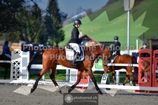 ref. photo 3550501
