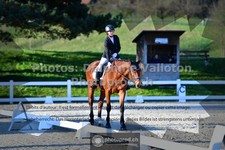 ref. photo 3550508