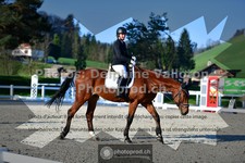 ref. photo 3550509