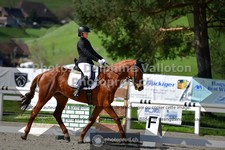ref. photo 3550510