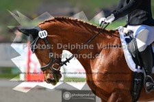 ref. photo 3550512
