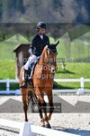ref. photo 3550513