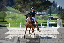 ref. photo 3550515