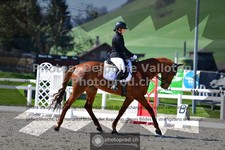 ref. photo 3550516