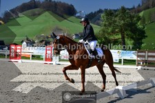 ref. photo 3550517