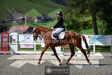ref. photo 3550519