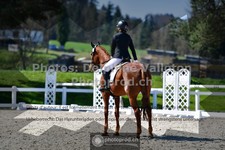 ref. photo 3550520