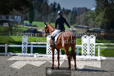 ref. photo 3550521