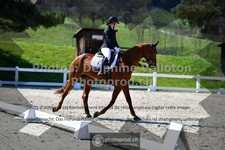ref. photo 3550522