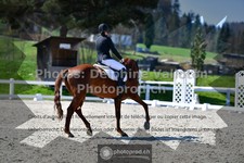 ref. photo 3550523
