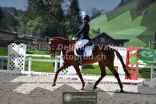 ref. photo 3550529
