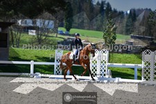 ref. photo 3550533