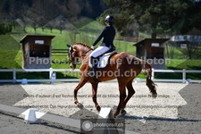 ref. photo 3550539