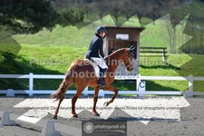 ref. photo 3550540
