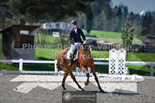 ref. photo 3550542