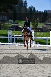 ref. photo 3550544