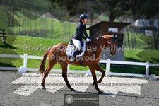 ref. photo 3550550