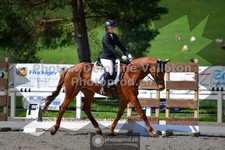 ref. photo 3550552