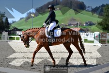 ref. photo 3550553