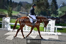 ref. photo 3550554
