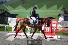 ref. photo 3550555