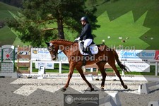 ref. photo 3550561
