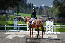 ref. photo 3550562
