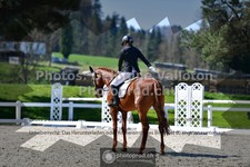 ref. photo 3550563