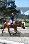 ref. photo 3550569