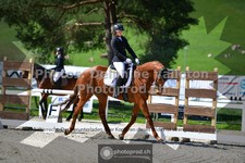 ref. photo 3550570