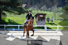 ref. photo 3550571