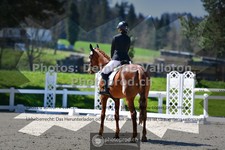 ref. photo 3550578