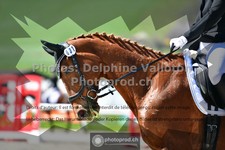 ref. photo 3550585