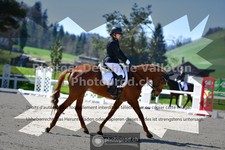 ref. photo 3550586
